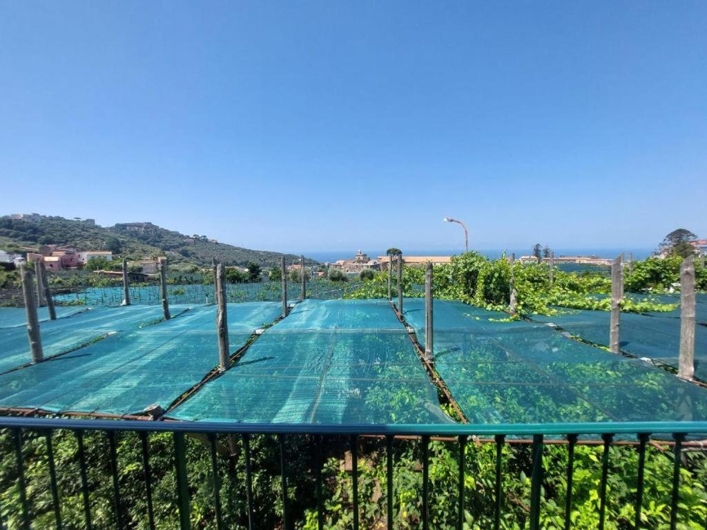 Il Pozzillo Maison Massa Lubrense Exterior foto